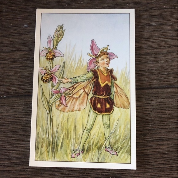 Garden Flower Fairies by: Cicely Mary Barker postcard set #18 - Picture 4 of 7